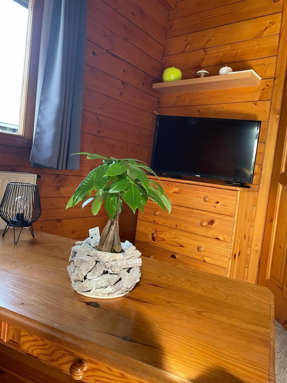 Chalet Ardennais Fromelennes 外观 照片